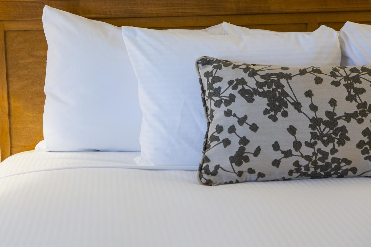 Looking Glass Inn Lincoln City Ngoại thất bức ảnh